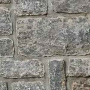 Gray Guillotine